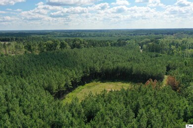 545 E Sibley Rd, Ruston, LA 71227 - photo 3