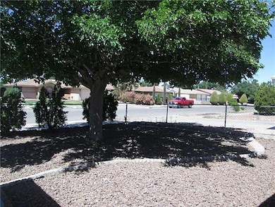 Nice tree with plenty of shade
