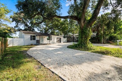 704 E Wilma St, Tampa, FL 33612 - photo 4