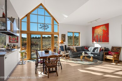 525 Cactus Flats Rd, Carbondale, CO 81623 - photo 5