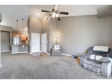 804 Summer Hawk Dr unit 5303, Longmont, CO 80504 - photo 6