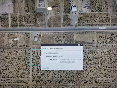 TBD Olney Ave, Horizon City, TX 79928 - photo 4