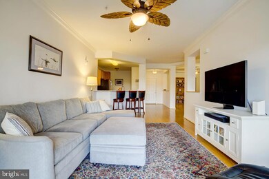 900 Marshy Cove, Cambridge, MD 21613 - photo 5