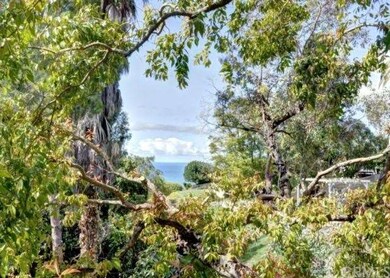 The trees frame the ocean view from the deck