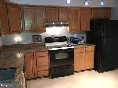 2220 Springwood Dr unit 111B / APT. L, Reston, VA 20191 - photo 7