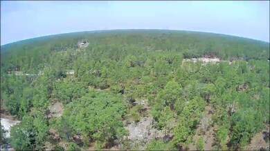 0000 SW Bonable Dr, Dunnellon, FL 34431 - photo 6