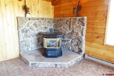 19576 Surface Creek Rd, Cedaredge, CO 81413 - photo 7