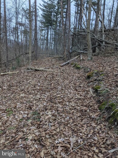 0 Campbell Dr, Newport, PA 17074 - photo 2