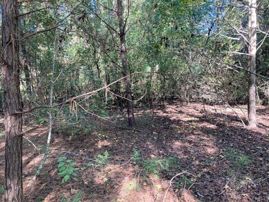 813 E Brenda Ln, Magnolia, TX 77354 - photo 6