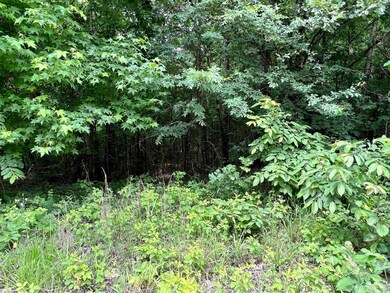 6.86 acres Greene 609 Rd, Paragould, AR 72450 - photo 6