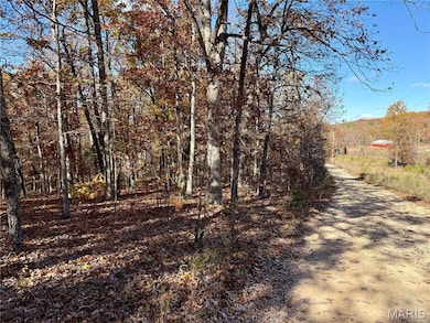 View of street with a wooded view