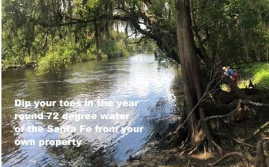 426 SW Santa fe Dr, Fort White, FL 32038 - photo 4