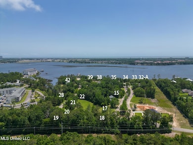 Savannah-4s