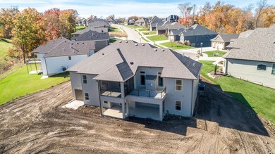 Drone View