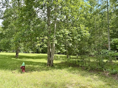 0 Shadow Rock Lot 17, Monteagle, TN 37356 - photo 3