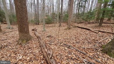 12019 Fair Hill Ln, Manassas, VA 20112 - photo 5