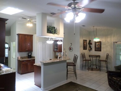 Kitchen View 2