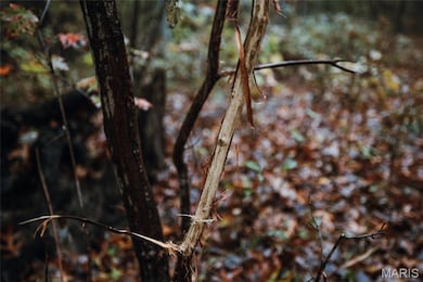 2 Lodge Rd, Bourbon, MO 65441 - photo 2