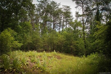 Upper Homesite facing South