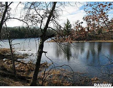 Lot 5 Rainbow Ln, Danbury, WI 54830 - photo 4