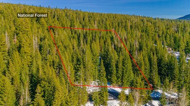 0 Royce Pine Rd unit Lot 1 220208434, Crescent Lake, OR 97733 - photo 4