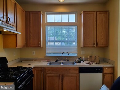 8402 Hillview Rd, Hyattsville, MD 20785 - photo 3