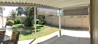 Yard & Back Patio