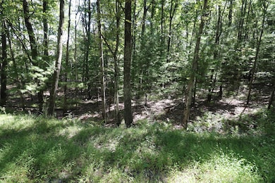 159 Majestic Dr, Chestnuthill Township, PA 18353 - photo 2