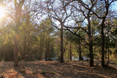 Treed area behind the pond