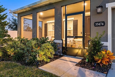 35474 Quartz Lake Dr, Zephyrhills, FL 33541 - photo 3