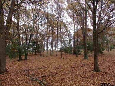 11059 County Road 290, Tyler, TX 75707 - photo 7