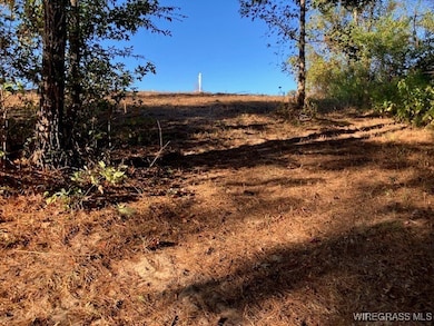 Lot 1 Sunshine Rd, Andalusia, AL 36421 - photo 2