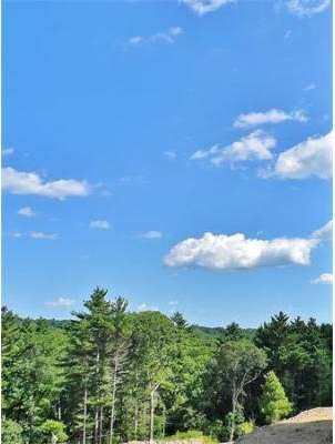 170 Norwood St, Sharon, MA 02067 - photo 3