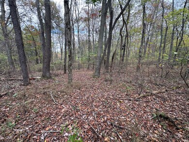 0 Sandy Plains Rd, East Bethlehem Township, PA 15322 - photo 5