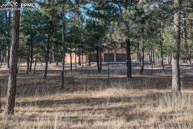 14994 Snowy Pine Point, Colorado Springs, CO 80908 - photo 6