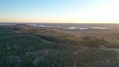 Aerial view at dusk with a water view and a forest