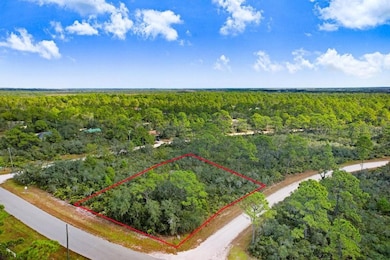 1177 Lake Hill Dr, Lake Placid, FL 33852 - photo 5