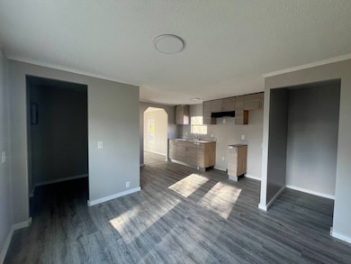 3120 W Chain of Rocks Rd unit 257, Granite City, IL 62040 - photo 5