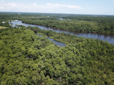 90 Acres Moragas Ln, Kiln, MS 39556 - photo 3