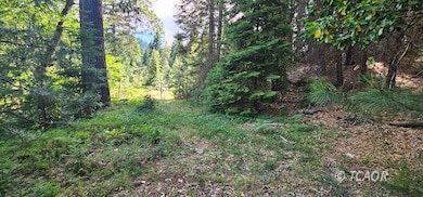 91 Wildwood Ranch Rd, Wildwood, CA 96076 - photo 4