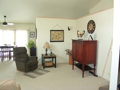 3049 Candlewood Ct unit 14, Flossmoor, IL 60422 - photo 5