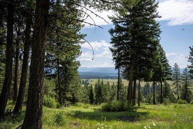 5611 Appaloosa Trail unit 93, McCall, ID 83638 - photo 2