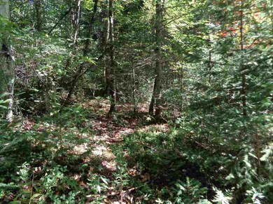 0 E Colebrook Rd, Colebrook, NH 03576 - photo 5