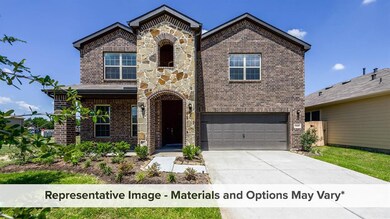 Alder with Elevation S