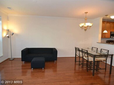 42607 Cardinal Trace Terrace, Ashburn, VA 20148 - photo 5