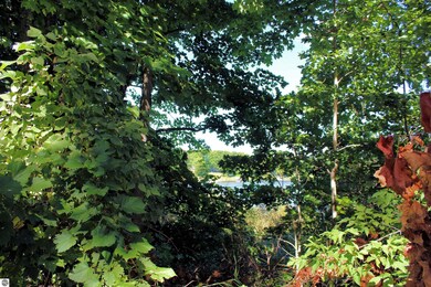 00 Cedar St, Central Lake, MI 49622 - photo 6