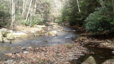 0 Whites Creek Rd unit 8-7993, Unamis, PA 15424 - photo 4