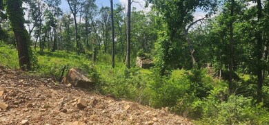Lot 7 Restore Ridge, Harrison, AR 72601 - photo 4