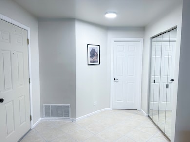 151 Brookston Dr unit A2, Schaumburg, IL 60193 - photo 3