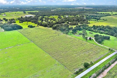 1320 Kirby Thompson Rd, Labelle, FL 33935 - photo 3